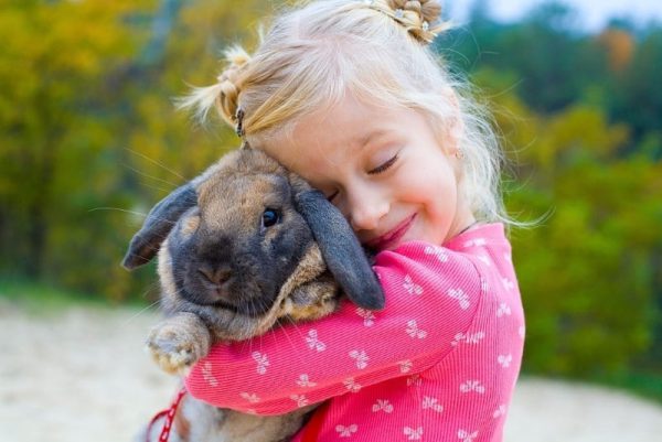 معرفی 10 نژاد خرگوش به عنوان حیوان خانگی برای کودکان