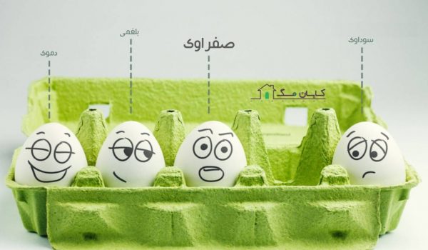 آشنایی با خصوصیات افرادی صفراوی و نقاط قوت و ضعف آنها در روانشناسی