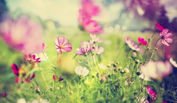 ویژگی شخصیتی افراد با مزاج گرم و تر