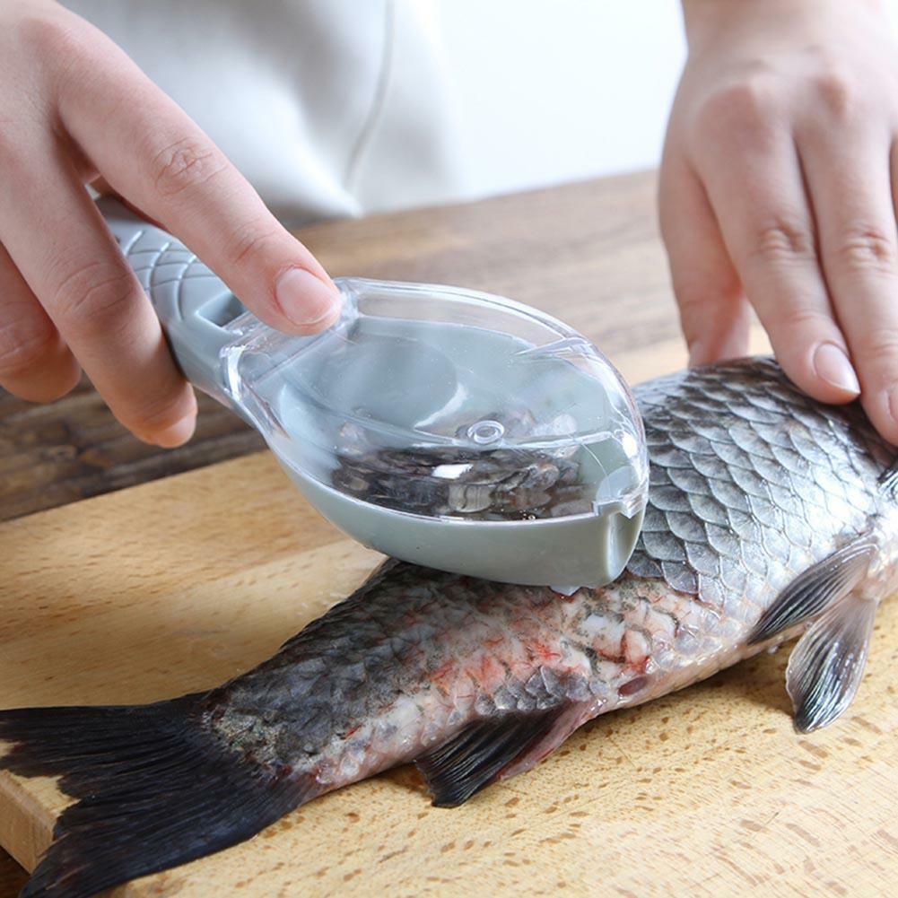 کندن فلس ماهی با ابزارهای حرفه ای