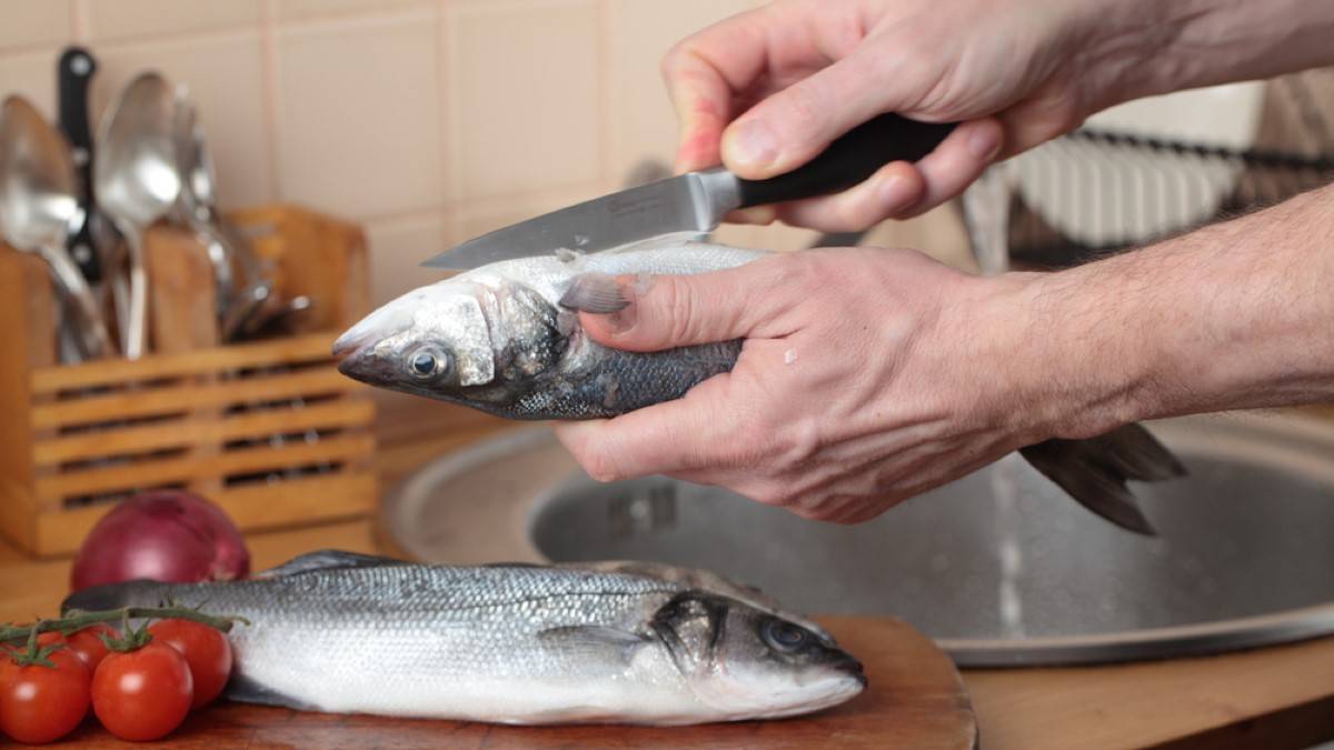 آموزش تصویری و مرحله به مرحله پاک کردن انواع ماهی